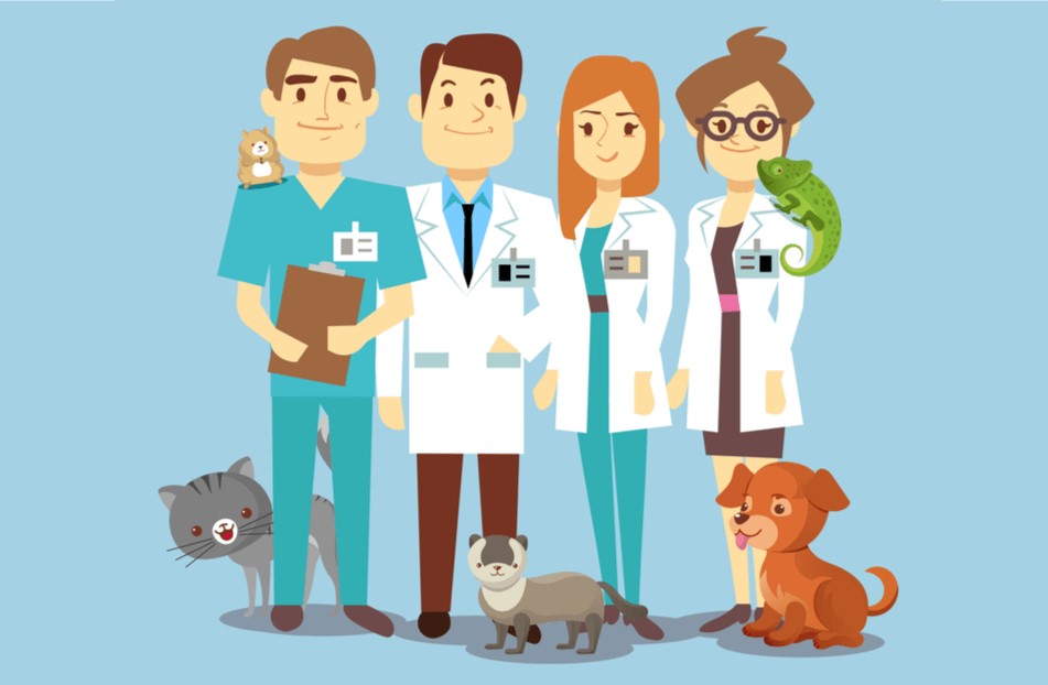 Thinking About Vet School? Here Are Some Things to Consider Now